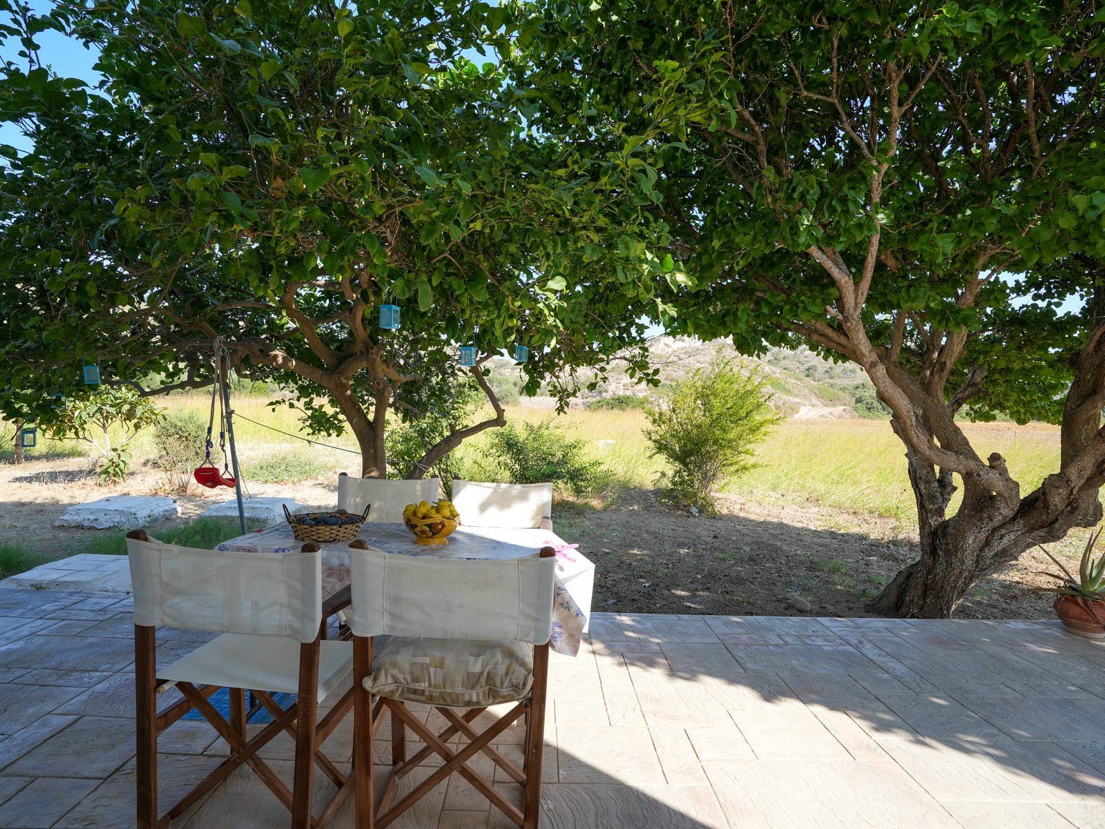 Table set under the trees in the garden