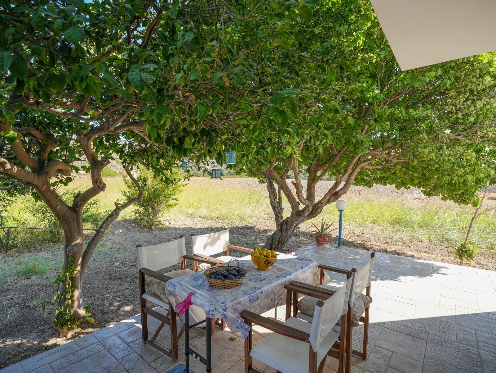 Shaded garden with a table set under the trees